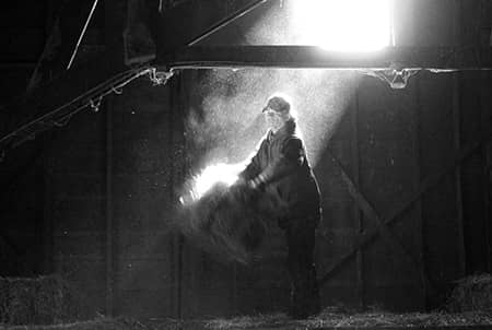 A worker tosses hay inside a dark barn beneath a bright overhead light.