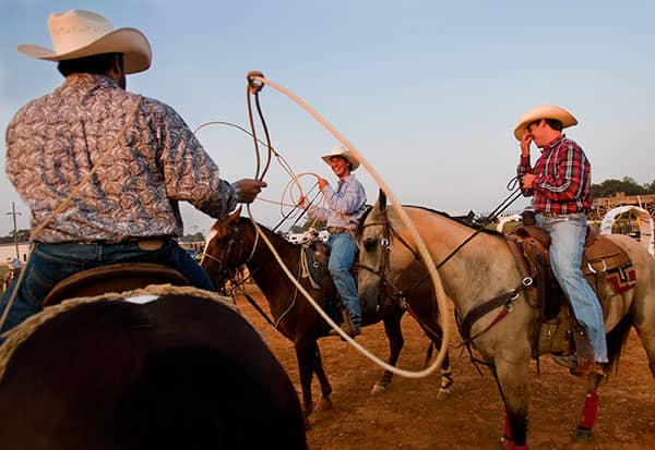 Mounted riders swing lassos while gathering in an outdoor rodeo arena.