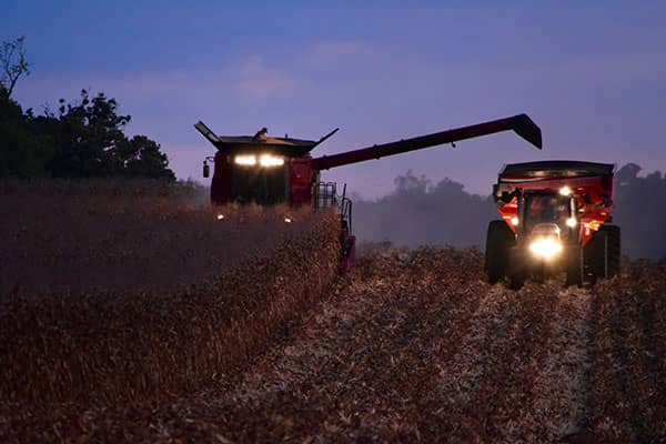 A combine and tractor harvest a field at dusk with their headlights shining.