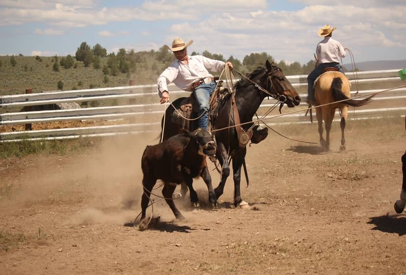Cowboy ropes a calf in a dusty arena while another rider watches.