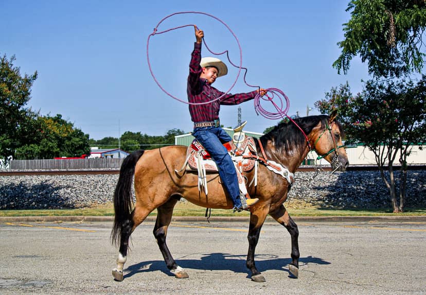 Cowboy twirls a lasso while riding a decorated horse along a road.