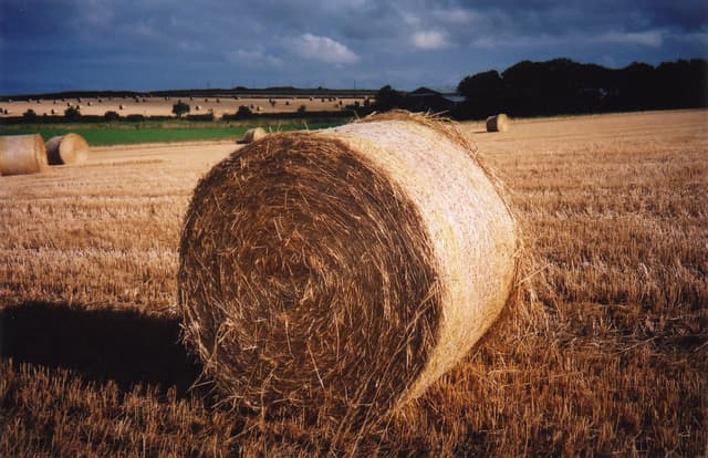 Photograph 4 of 7