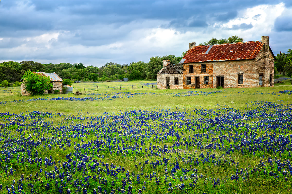 Bluebonnet House